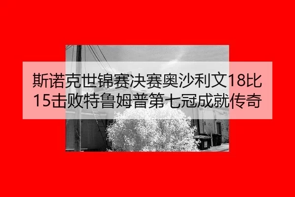 si-nuo-ke-shi-jin-sai-jue-sai-ao-sha-li-wen-bi-ji-bai-te-lu-mu-pu-di-qi-guan-cheng-jiu-chuan-qi-1-742.jpg